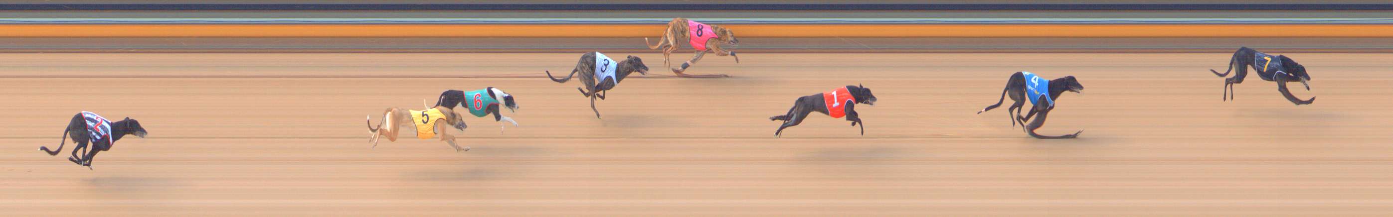 Photo finish for Bendigo Race 1