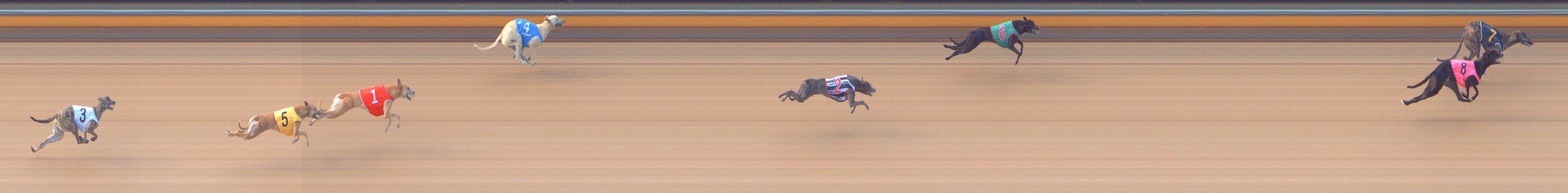 Photo finish for Bendigo Race 2