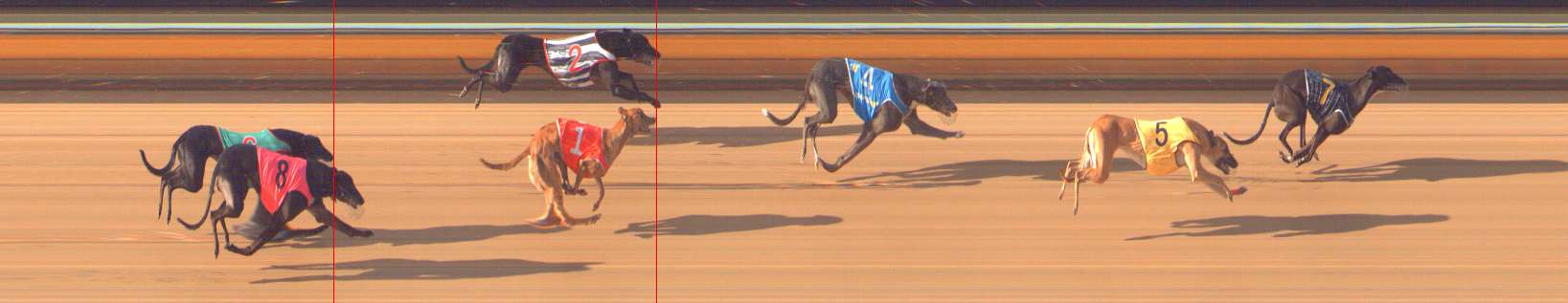 Photo finish for Bendigo Race 5