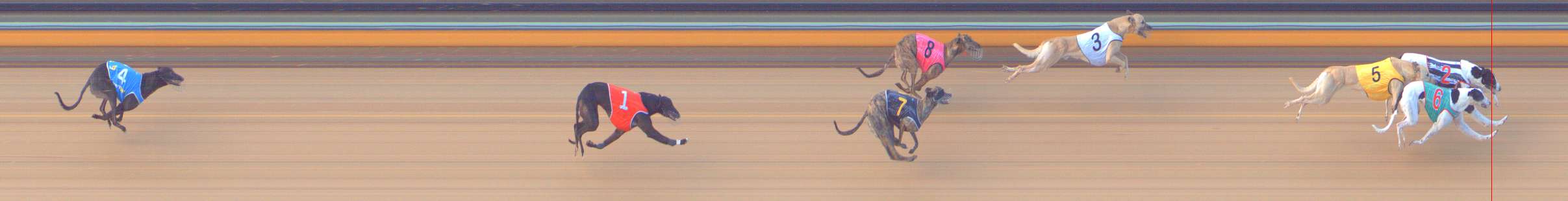 Photo finish for Bendigo Race 6