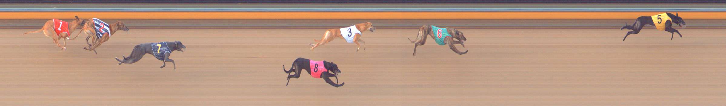 Photo finish for Bendigo Race 7