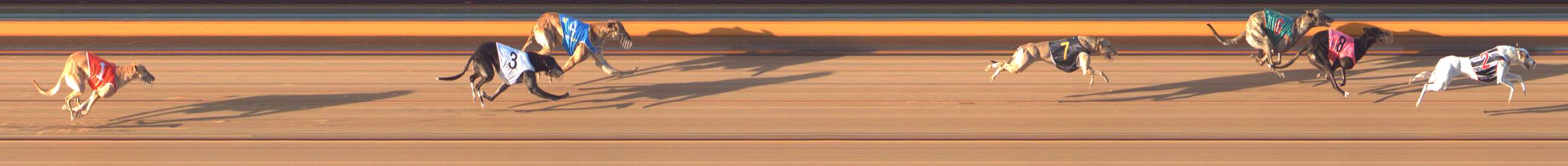 Photo finish for Bendigo Race 8