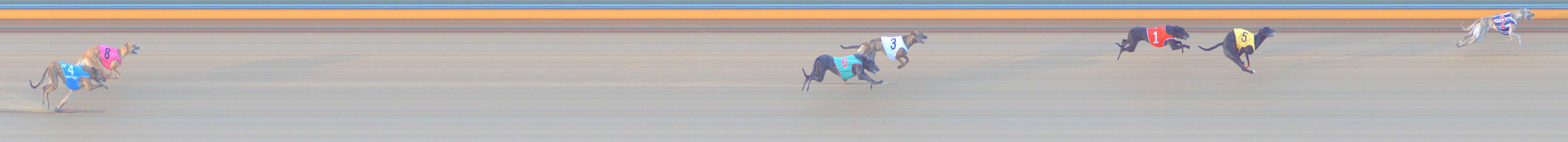 Photo finish for Bendigo Race 9