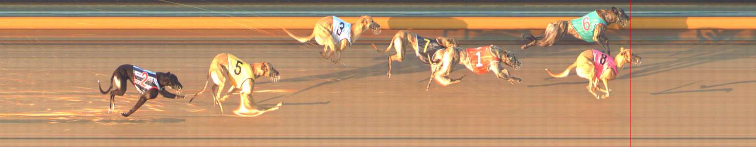 Photo finish for Bendigo Race 10
