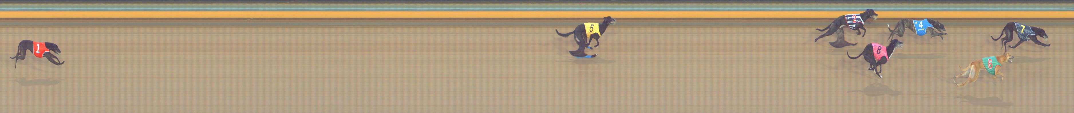 Photo finish for Bendigo Race 11