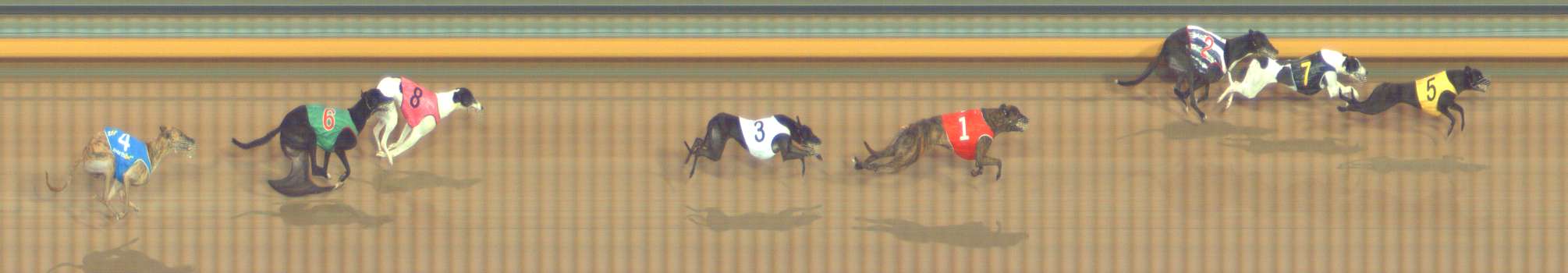Photo finish for Bendigo Race 12