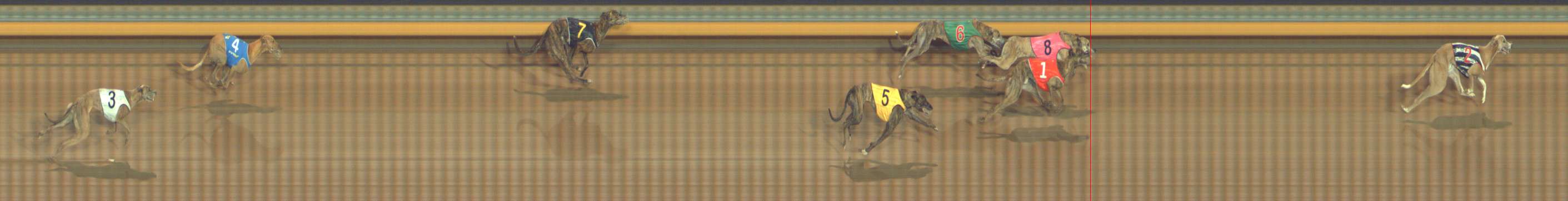 Photo finish for Bendigo Race 5