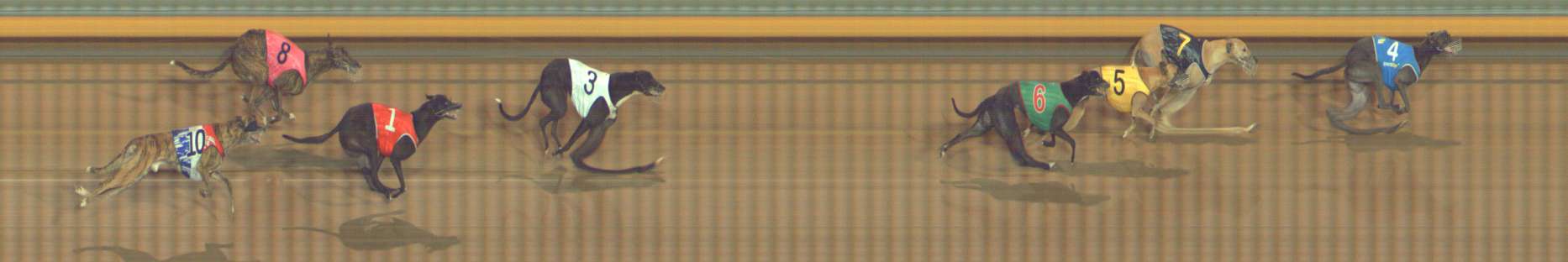 Photo finish for Bendigo Race 6