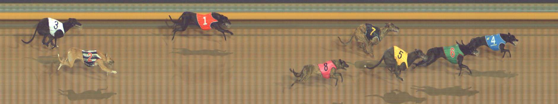 Photo finish for Bendigo Race 7