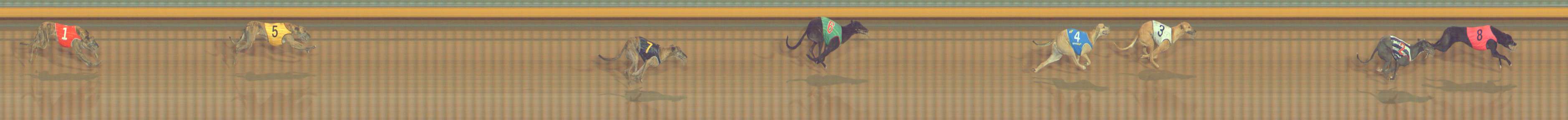 Photo finish for Bendigo Race 8