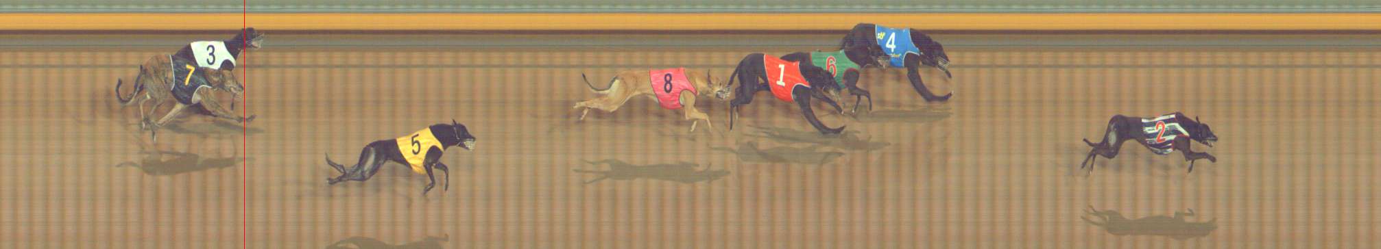 Photo finish for Bendigo Race 9