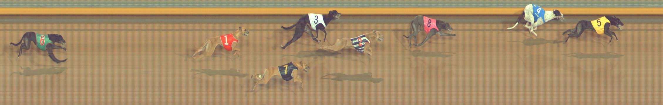 Photo finish for Bendigo Race 10