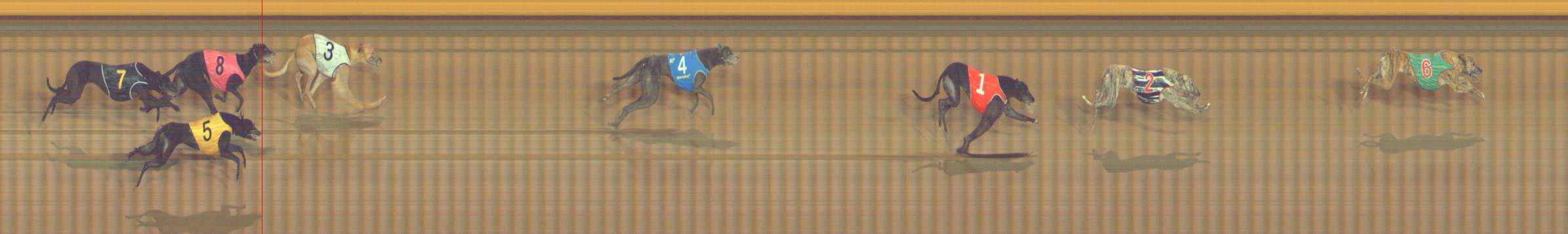 Photo finish for Bendigo Race 11