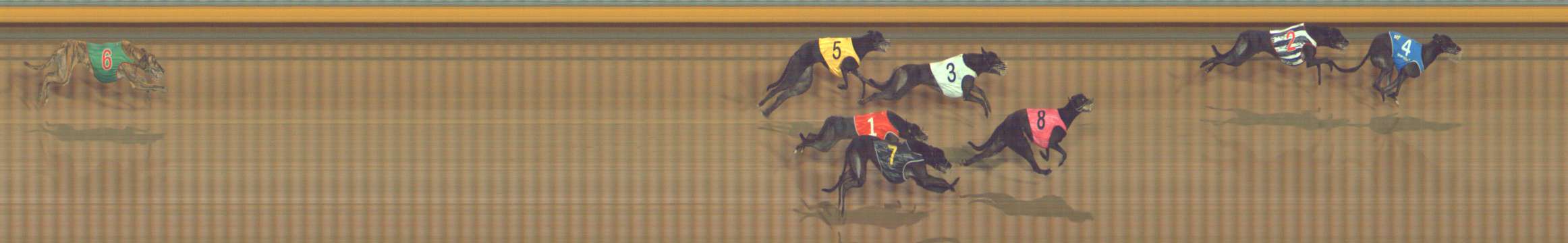 Photo finish for Bendigo Race 12