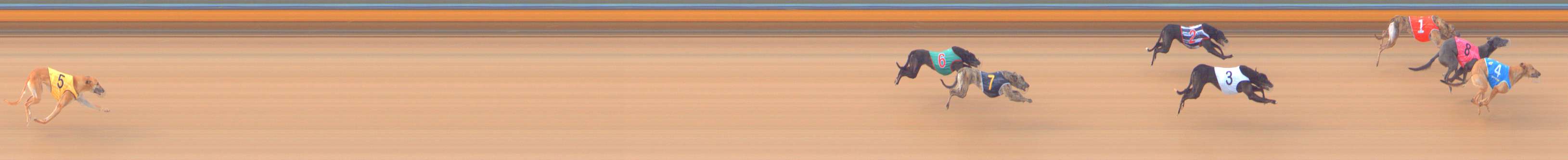 Photo finish for Bendigo Race 2
