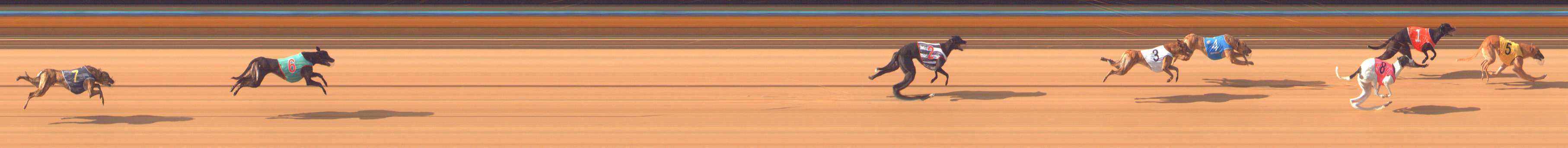 Photo finish for Bendigo Race 3
