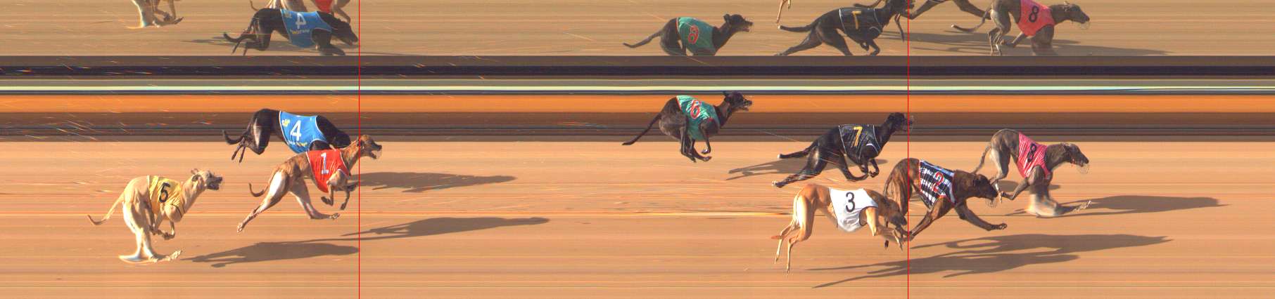 Photo finish for Bendigo Race 5