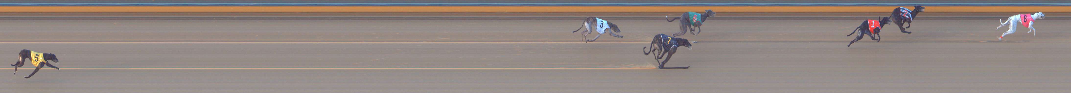 Photo finish for Bendigo Race 8