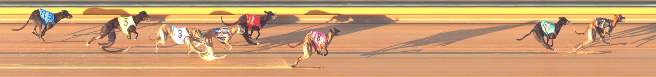 Photo finish for Bendigo Race 9