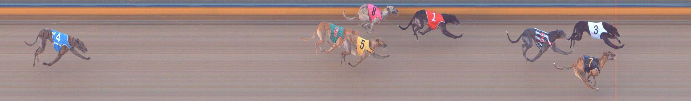 Photo finish for Bendigo Race 10