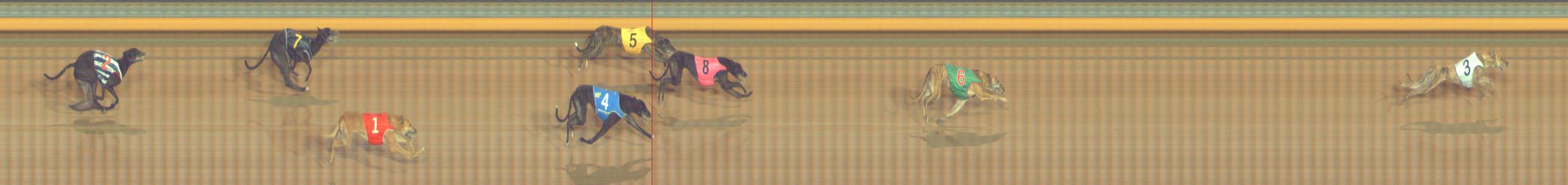 Photo finish for Bendigo Race 12