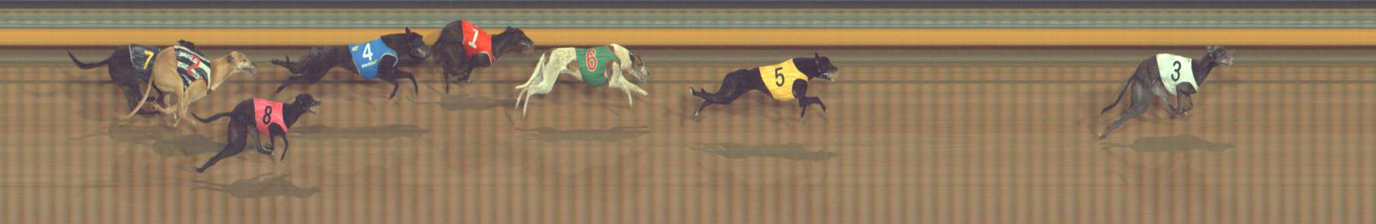Photo finish for Bendigo Race 13