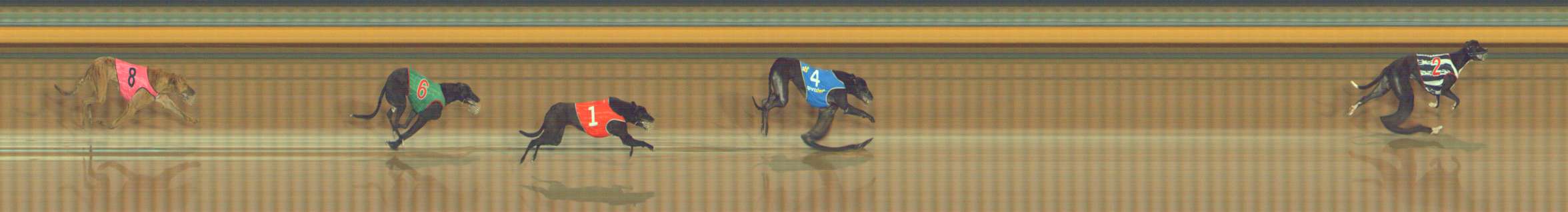 Photo finish for Bendigo Race 1
