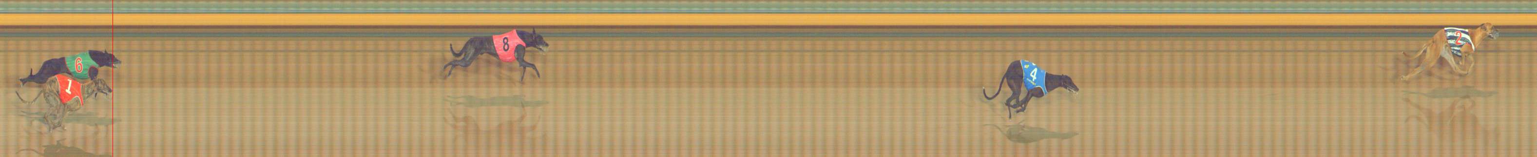 Photo finish for Bendigo Race 2
