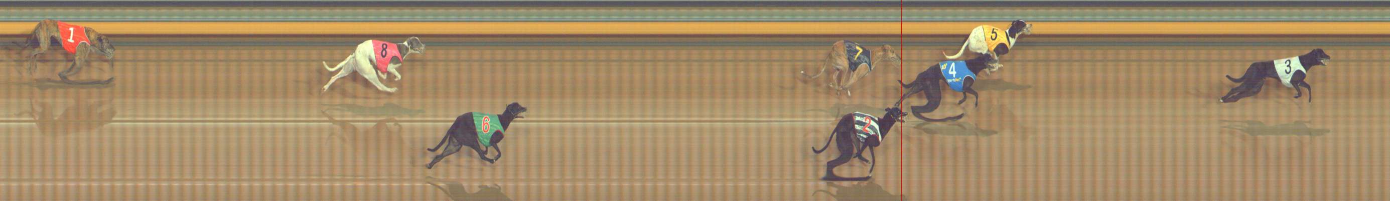 Photo finish for Bendigo Race 4
