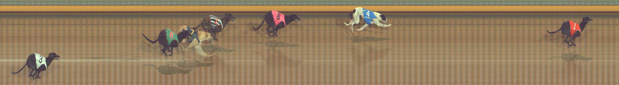 Photo finish for Bendigo Race 5
