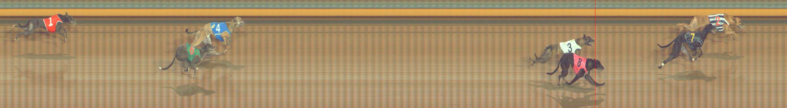 Photo finish for Bendigo Race 8
