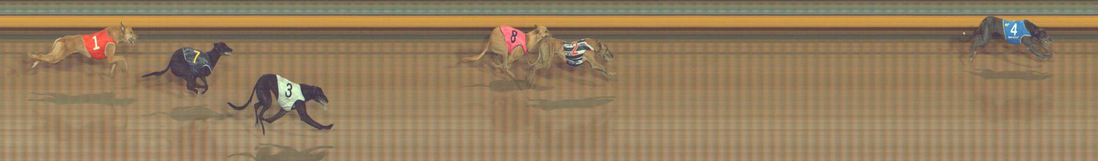 Photo finish for Bendigo Race 9