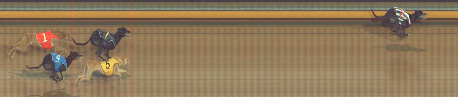 Photo finish for Bendigo Race 10