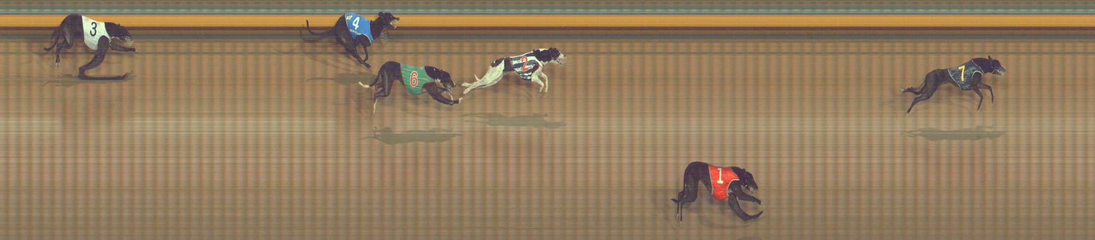 Photo finish for Bendigo Race 12