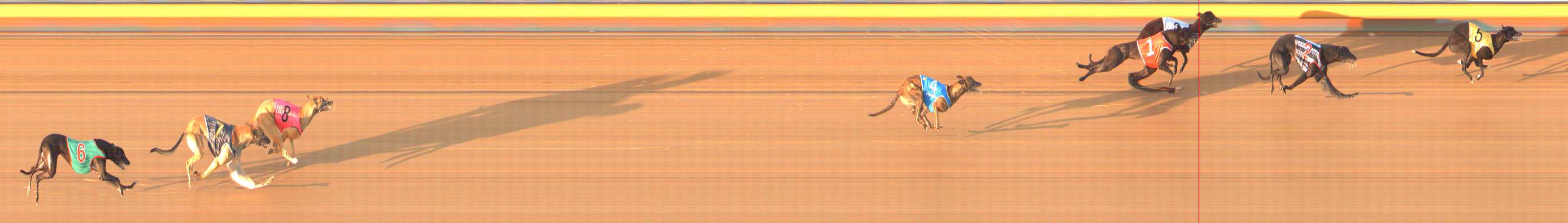 Photo finish for Bendigo Race 1