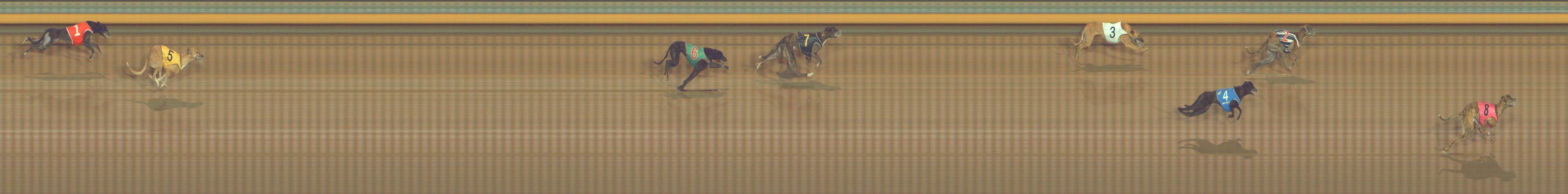 Photo finish for Bendigo Race 4