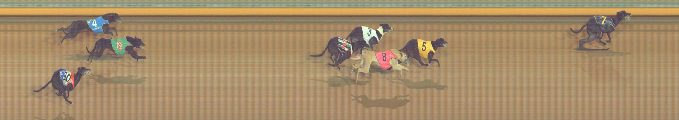Photo finish for Bendigo Race 5