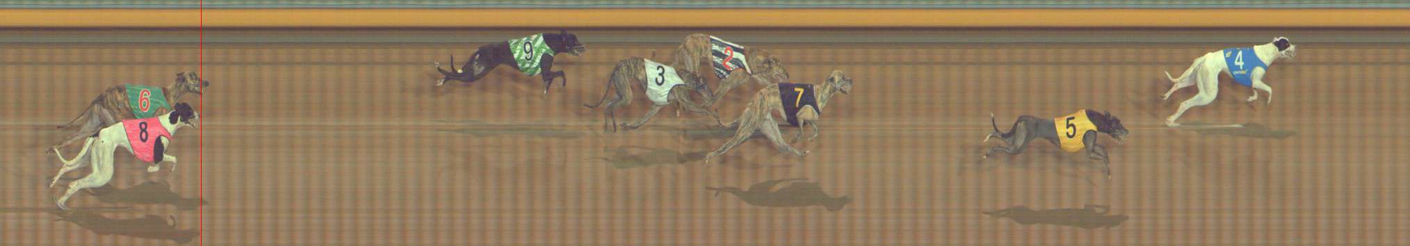 Photo finish for Bendigo Race 8