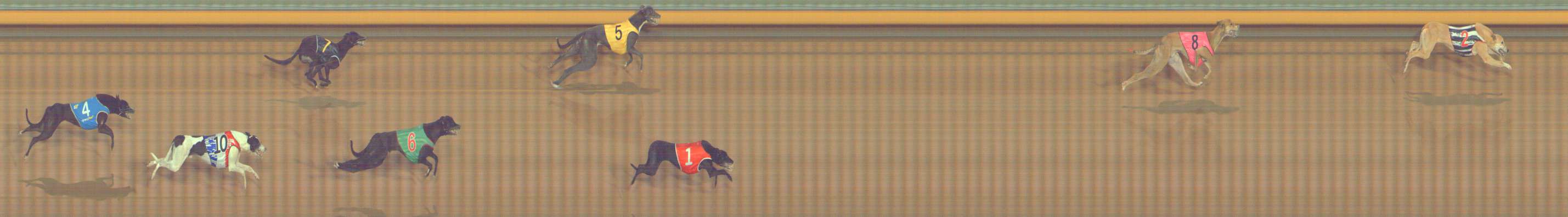Photo finish for Bendigo Race 10