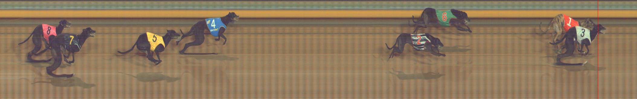 Photo finish for Bendigo Race 12