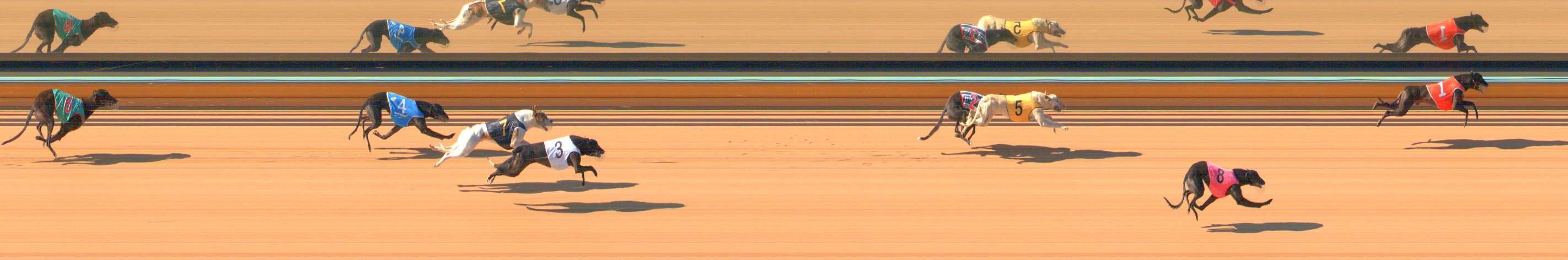 Photo finish for Bendigo Race 1