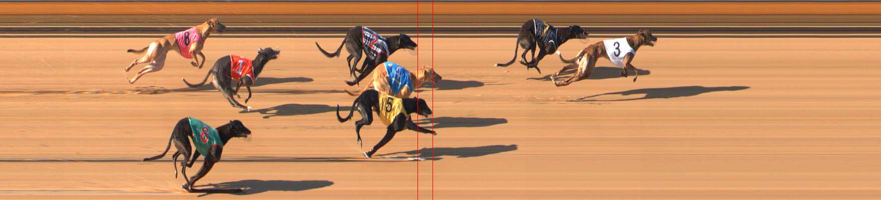 Photo finish for Bendigo Race 3