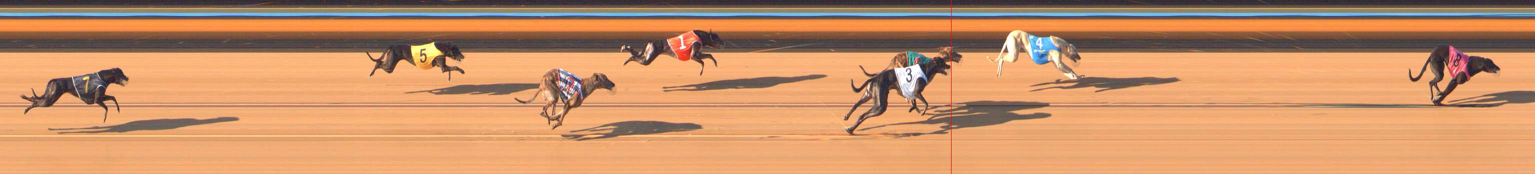 Photo finish for Bendigo Race 4