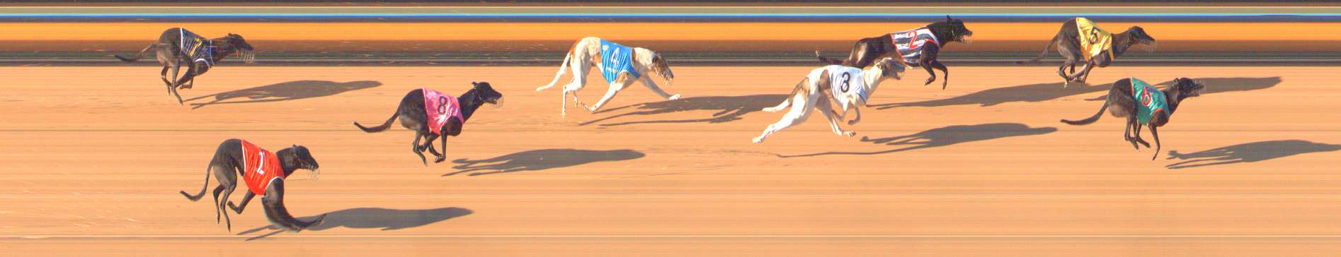 Photo finish for Bendigo Race 5