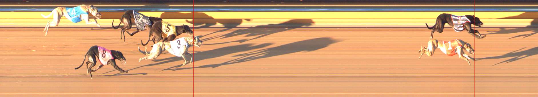 Photo finish for Bendigo Race 8