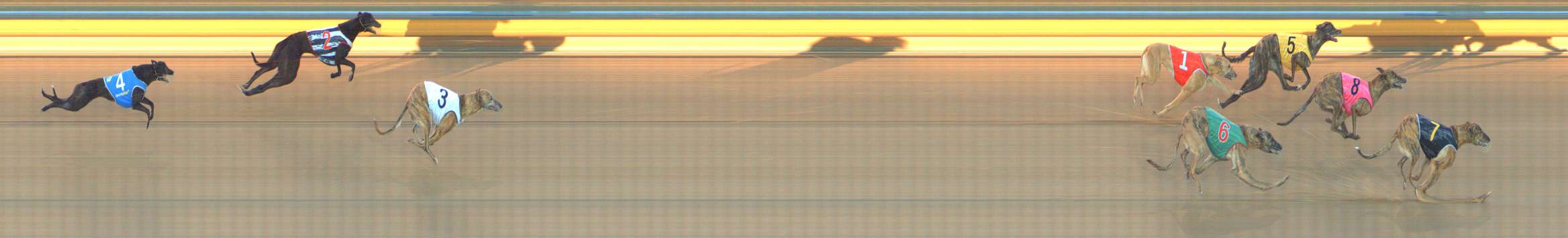 Photo finish for Bendigo Race 9