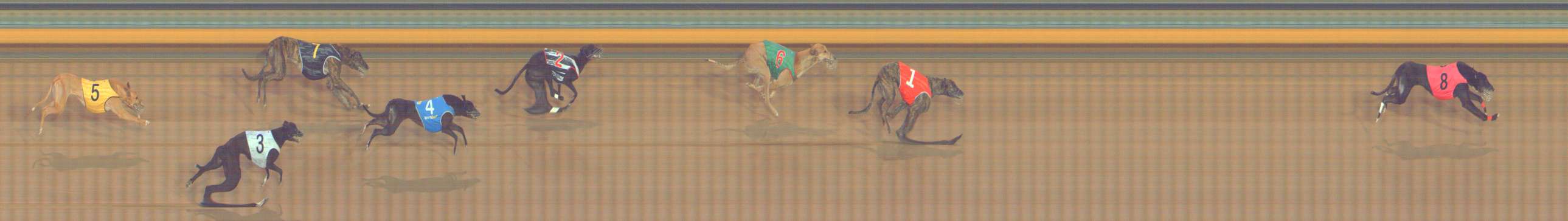 Photo finish for Bendigo Race 11