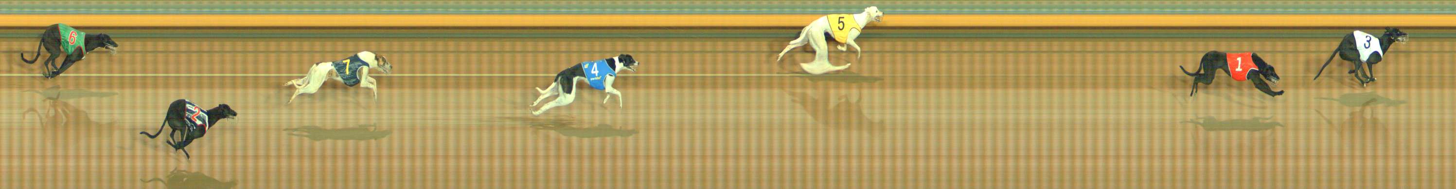 Photo finish for Bendigo Race 1