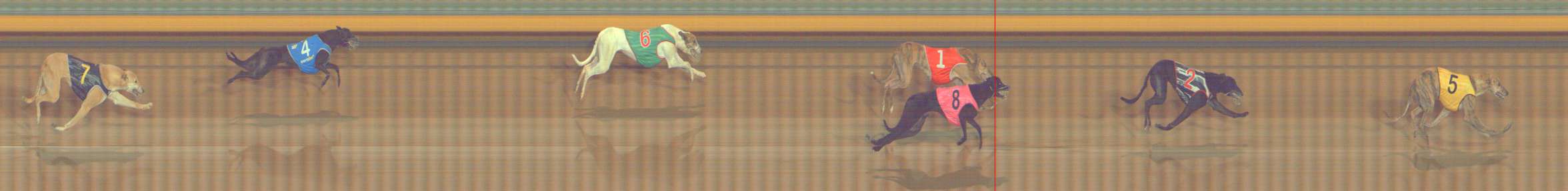 Photo finish for Bendigo Race 5