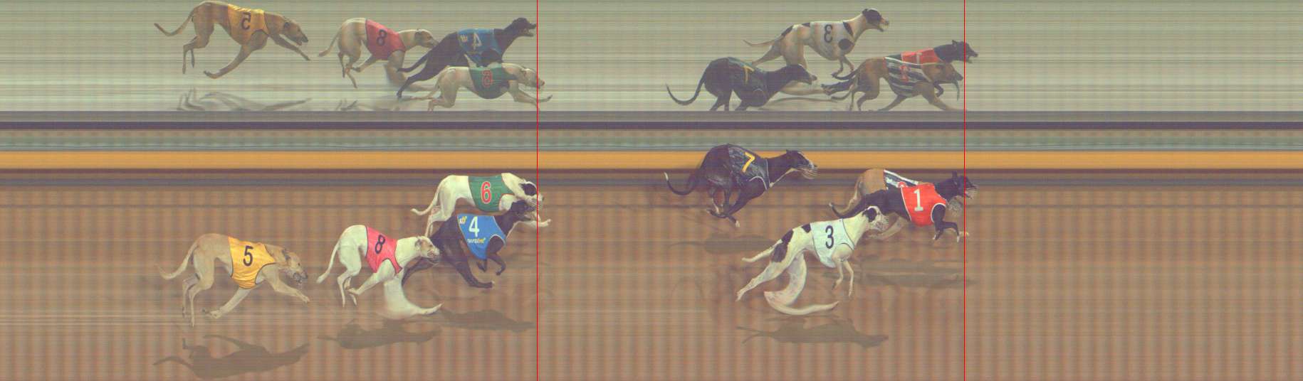 Photo finish for Bendigo Race 7